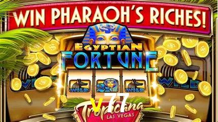 Descubra o Mundo do Cassino Online com v77